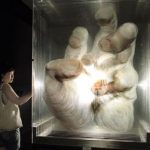 Imagenes en 3D sobre vidrio
