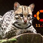 Descargar Ubuntu 11.10 Oneiric Ocelot